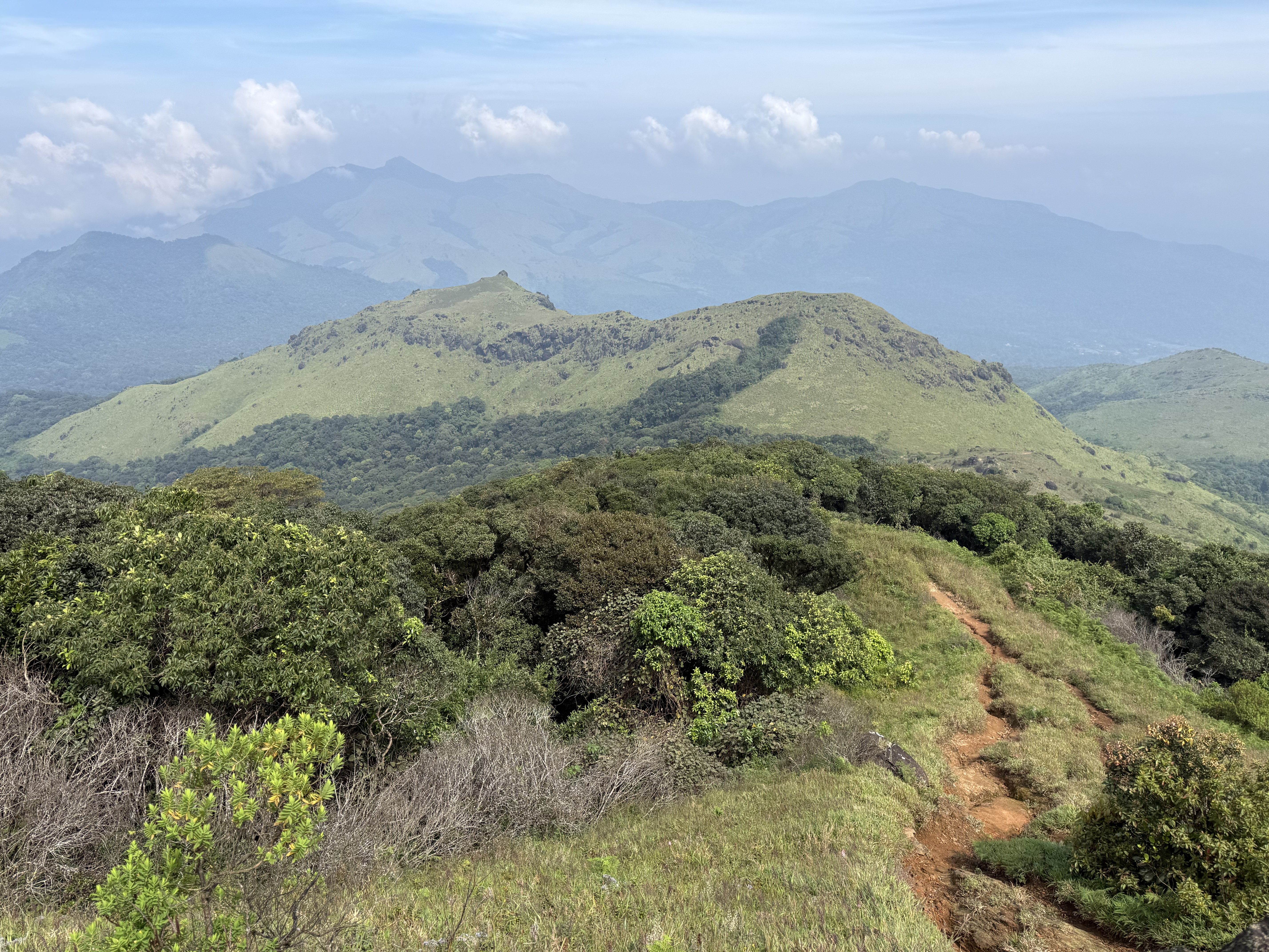 Layered green ridgelines and a winding trail in Coorg